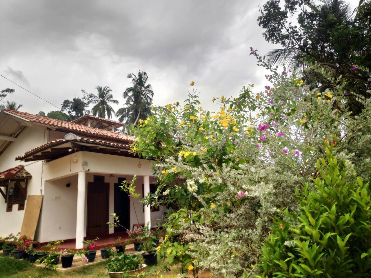 דיקוולה Cinnamon House Hiriketiya מראה חיצוני תמונה