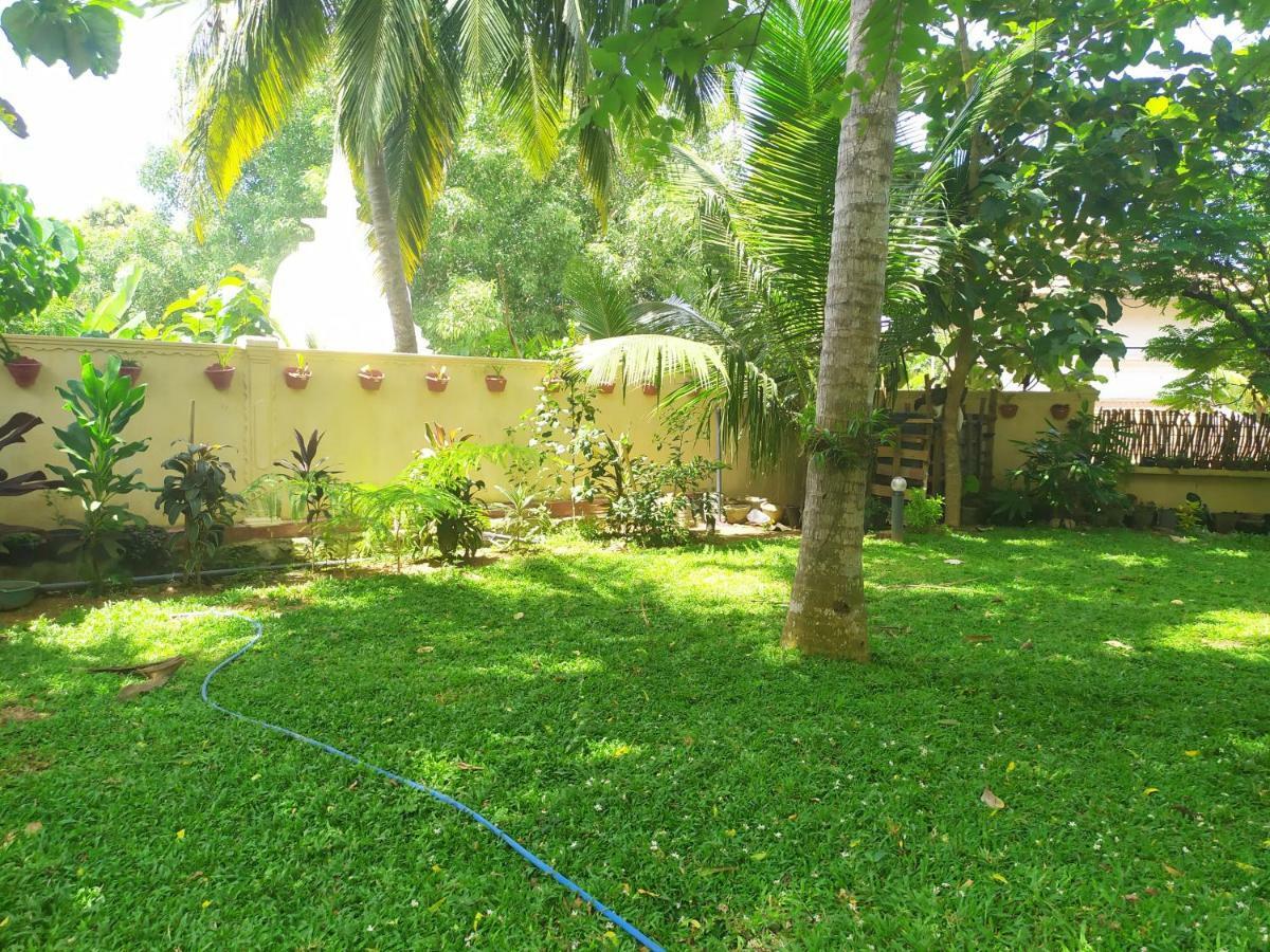 דיקוולה Cinnamon House Hiriketiya מראה חיצוני תמונה